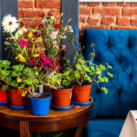 Viva Deluxe Hotel 3*